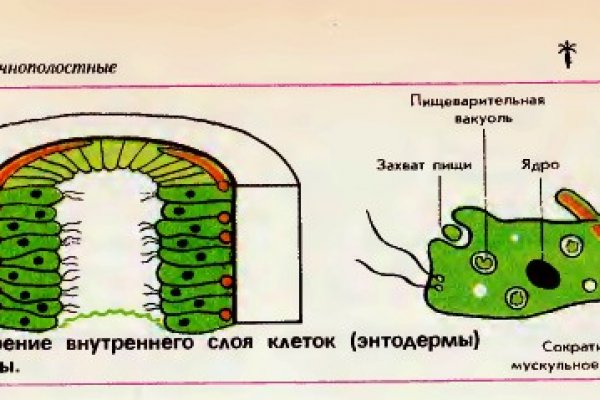 Сайт наркотиков купить