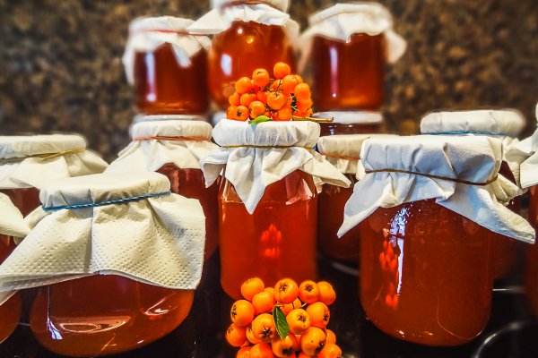 Какая сейчас ссылка на кракен