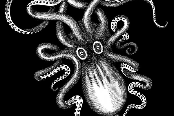 Kraken зеркала gigageek ru