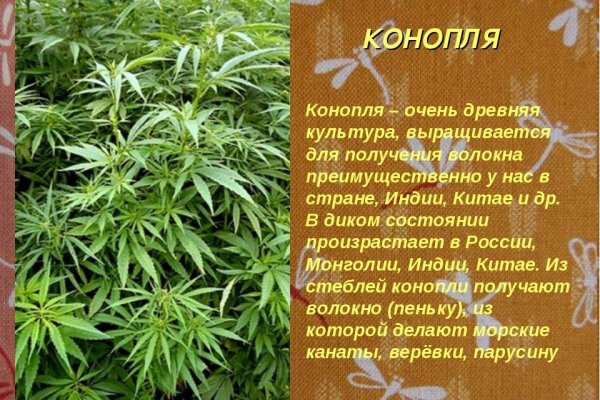 Кракен короткая ссылка