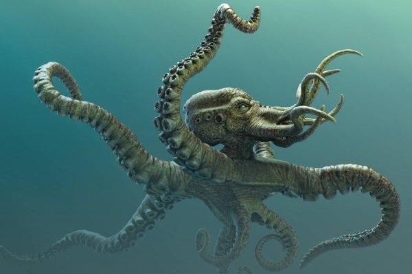 Kraken 14 at сайт
