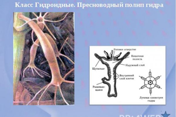 Kraken актуальный сайт