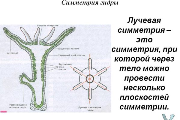 Кракен вход на сайт